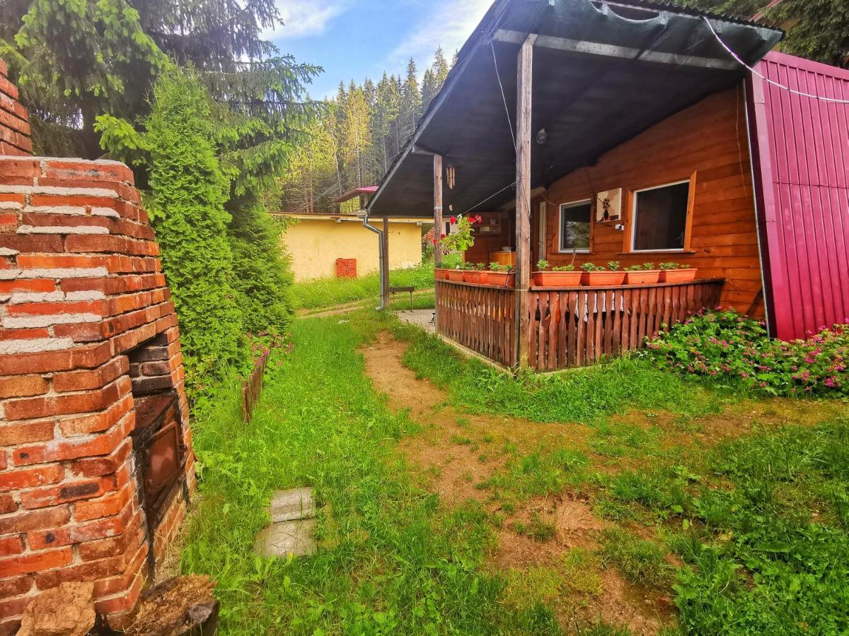 Orlino Holiday Park Сырница Экстерьер фото